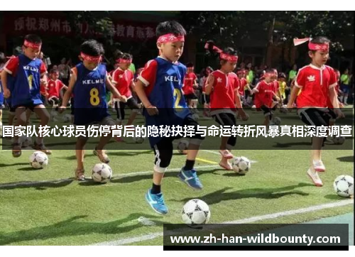 国家队核心球员伤停背后的隐秘抉择与命运转折风暴真相深度调查