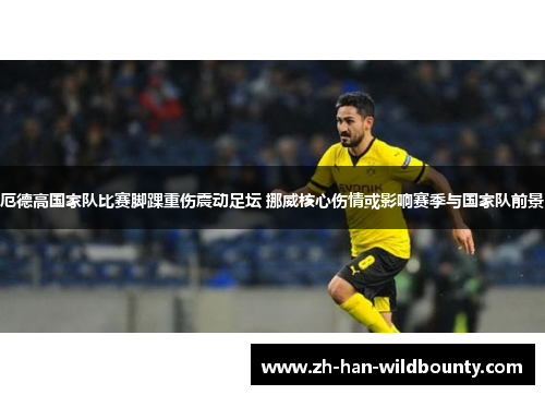 厄德高国家队比赛脚踝重伤震动足坛 挪威核心伤情或影响赛季与国家队前景