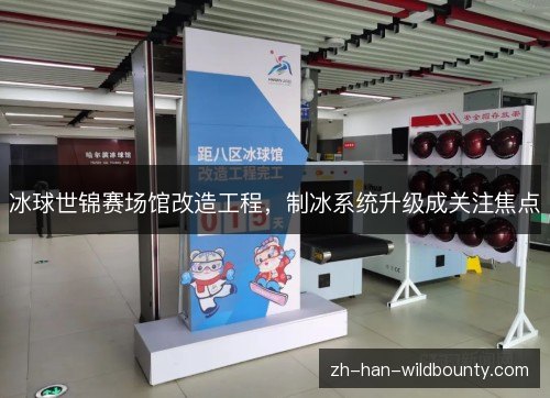 冰球世锦赛场馆改造工程,制冰系统升级成关注焦点 冰球世锦赛场馆改造工程,制冰系统升级成关注焦点